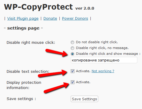 плагин защиты контента wp-copyprotect